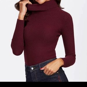Fitted turtleneck